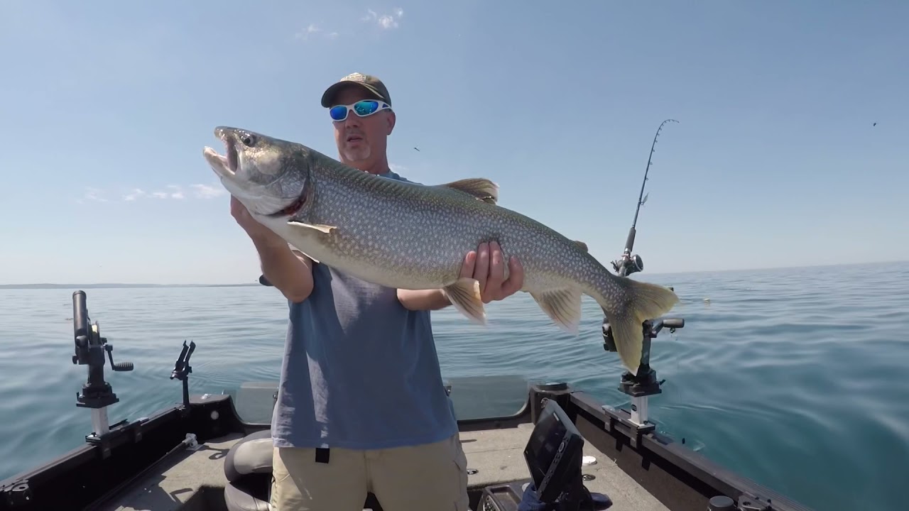 Lake Superior Trolling June Lake Trout