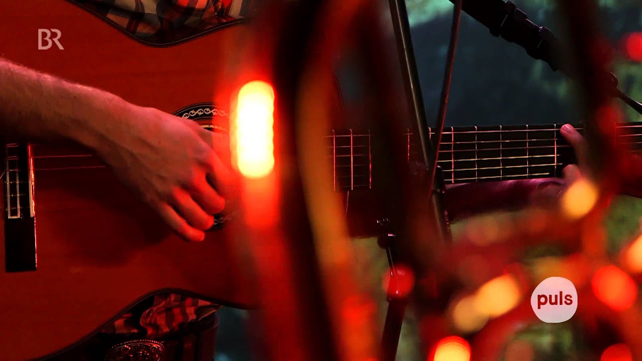 Impala Ray - The Gambler (PULS Live Session)