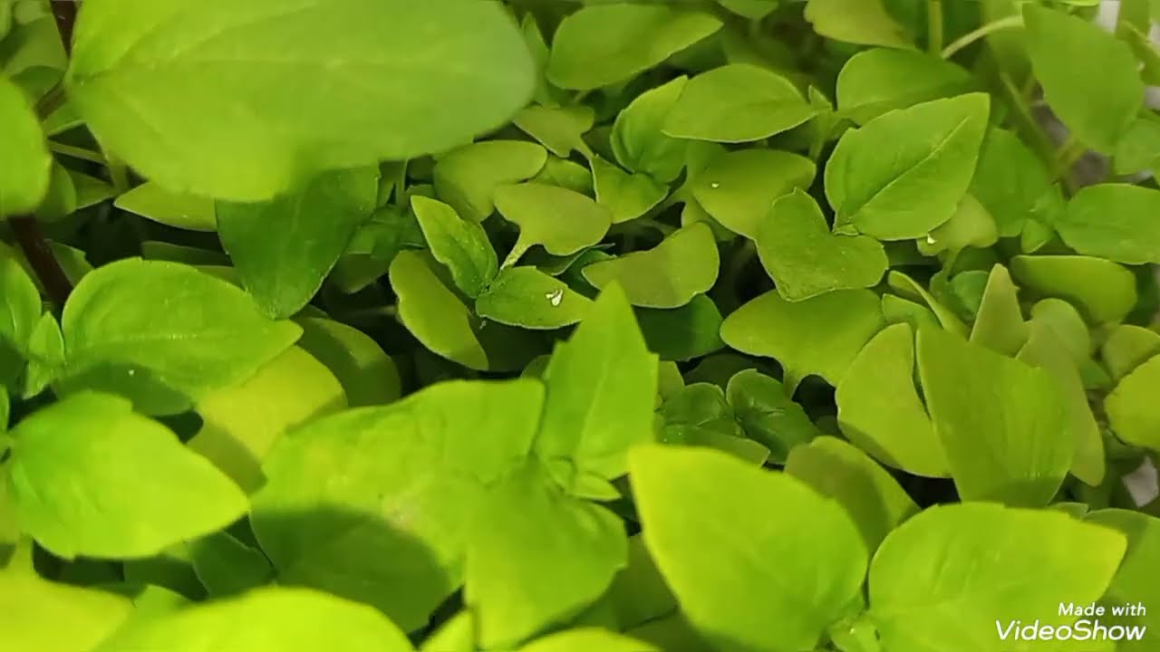  كتشفت سحر مدفون في قبر 😱قديم خسرولي حياتي وعيشوني الجحيم الفم يضحك والقلب فيه الخديعة 😭