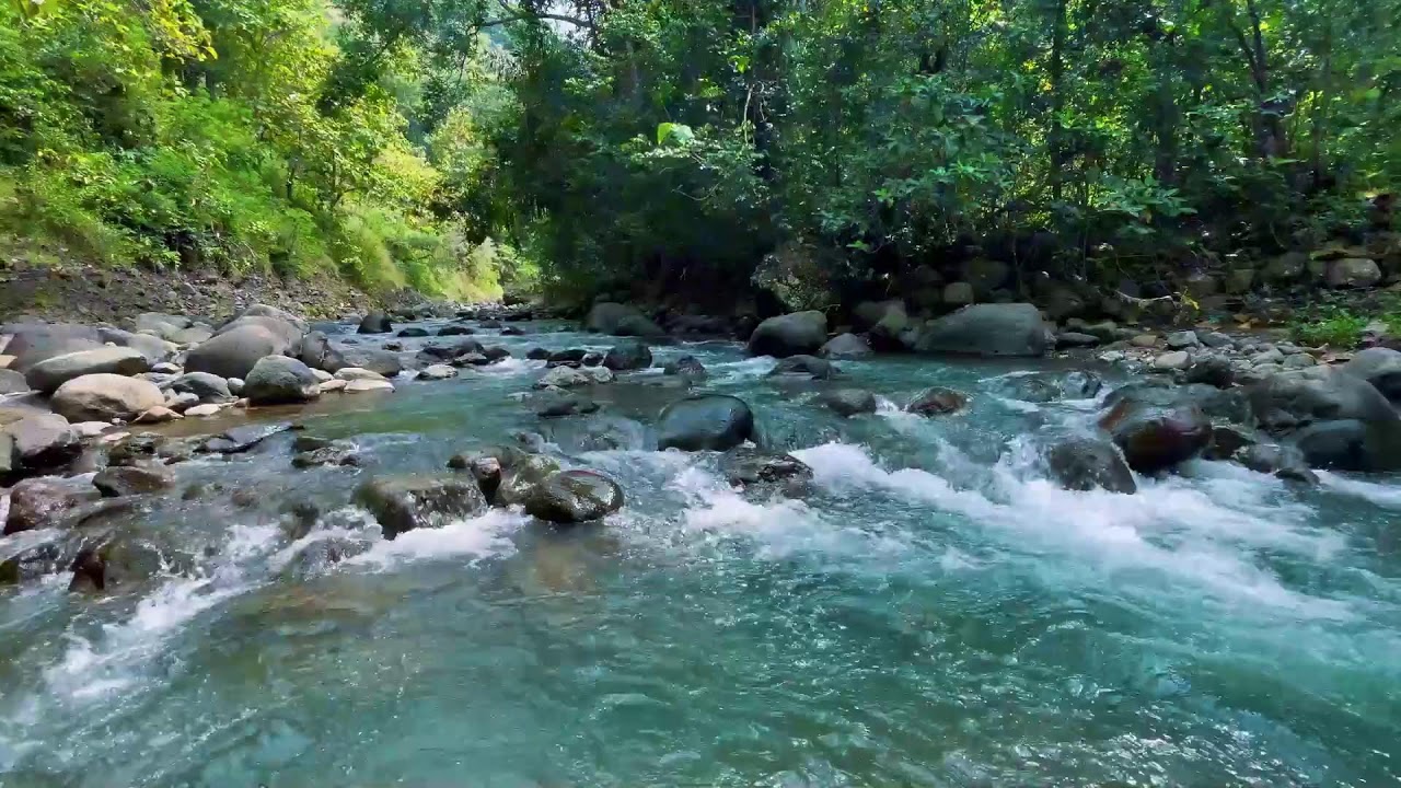 Relaxing River Sounds for Focus, Studying & A Peaceful Home 🌿 Relaxing Sleep Calming Anxiety