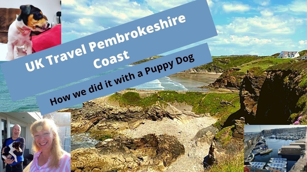 Pembrokeshire Coast Top Things To Do !! Puppy's First Trip