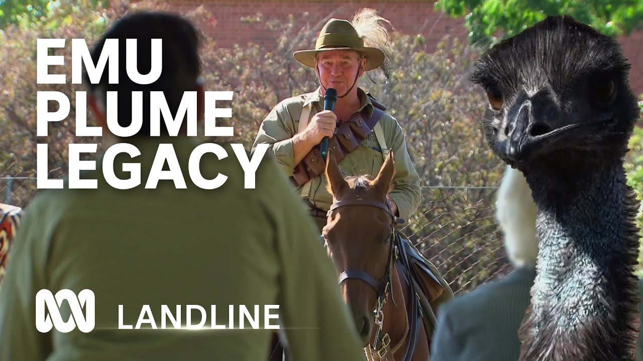 750 Kilometres on horseback to remember the history of Australian Light Horse troopers | Landline