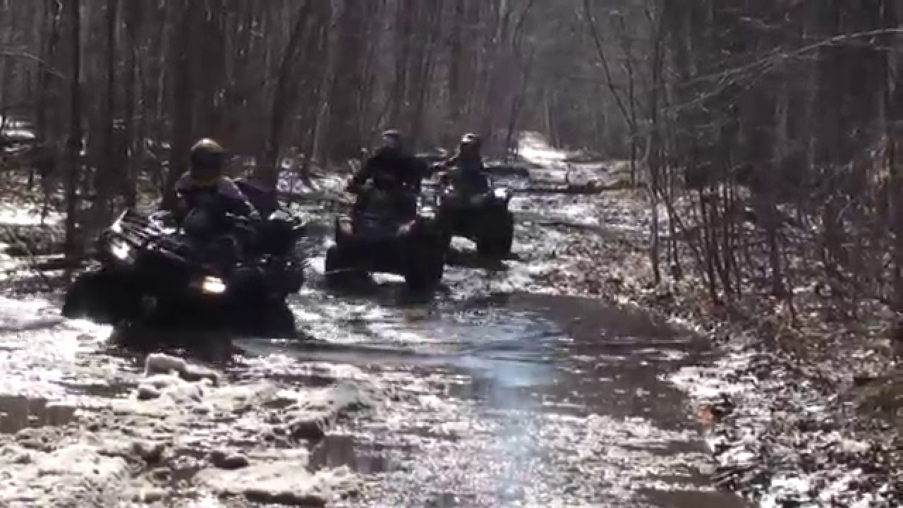 Arctic Cat 650 H1