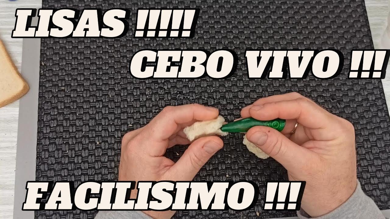 Cómo Pescar Cebo Vivo en Minutos!!!!!! Super Fácil!!!!!