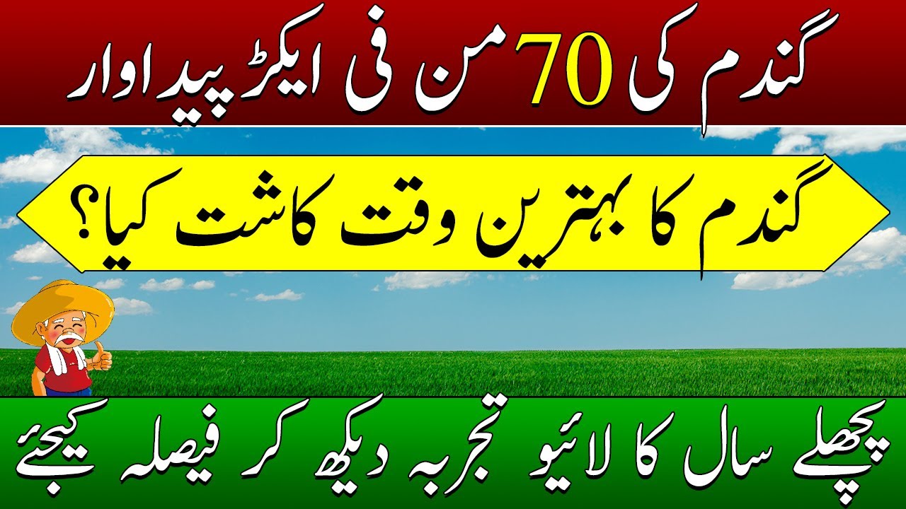 Best wheat sowing time in different areas of Pakistan| wheat sowing temperature calculation🌡️| 