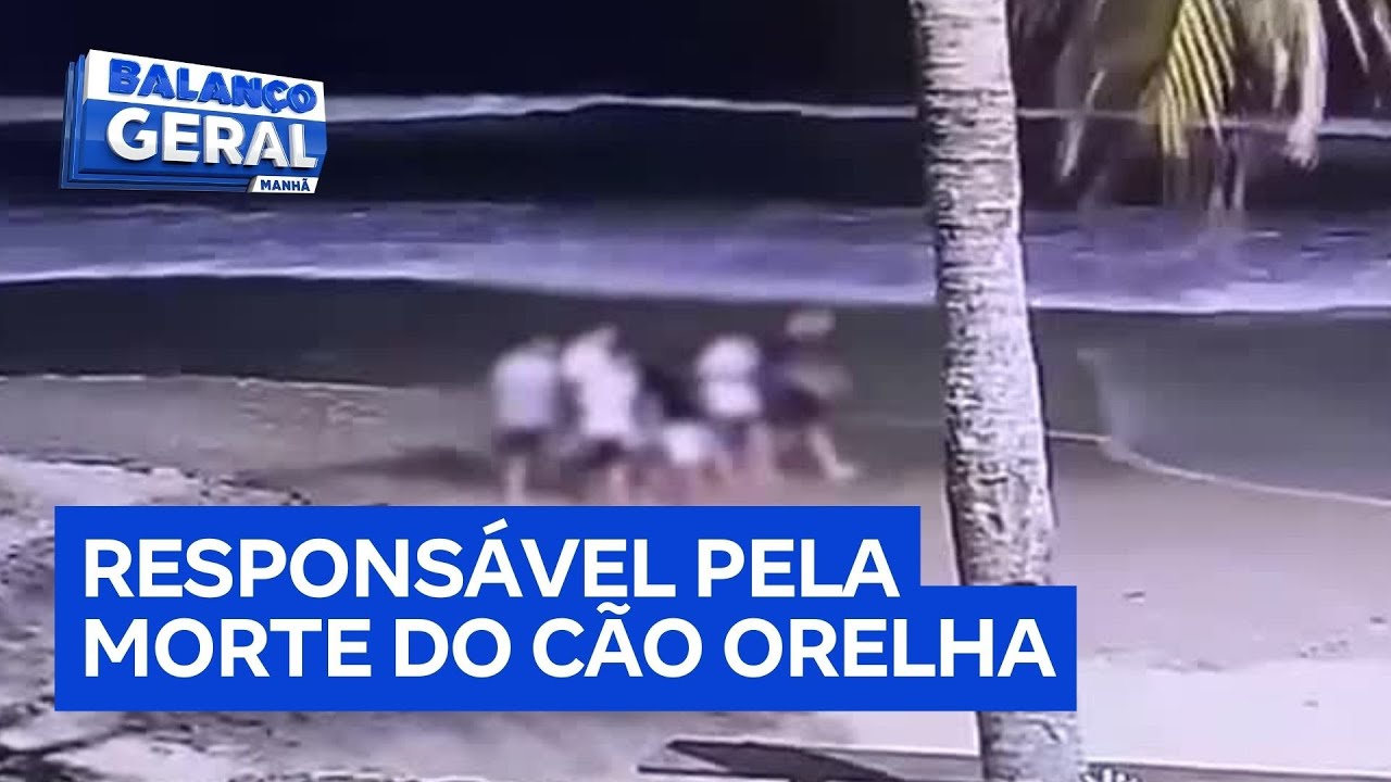 Polícia pede internação de adolescente apontado como responsável pela morte do cão Orelha