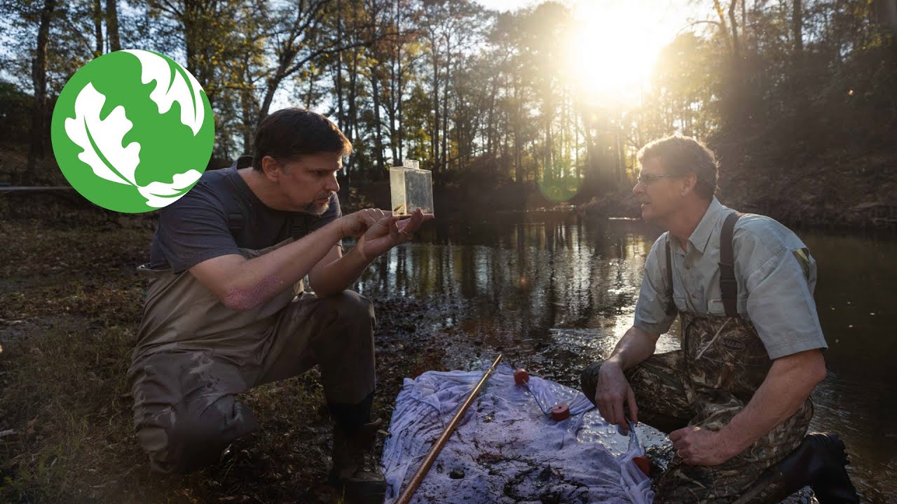 Treasuring Texas Rivers and Springs