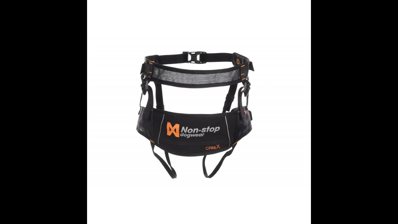 Le baudrier de canicross Non stop caniX par Acticani shop fr