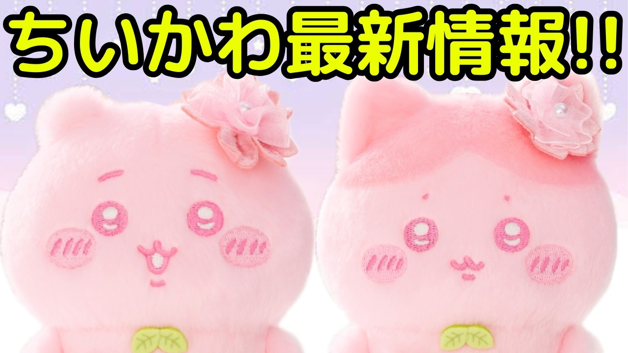 【ちいかわ】本日のちいかわ最新情報！！