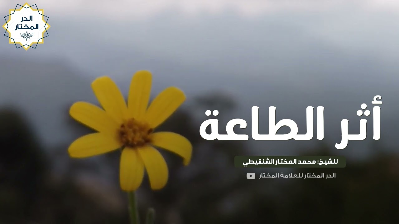 أثر الطاعة | للشيخ: محمد المختار الشنقيطي