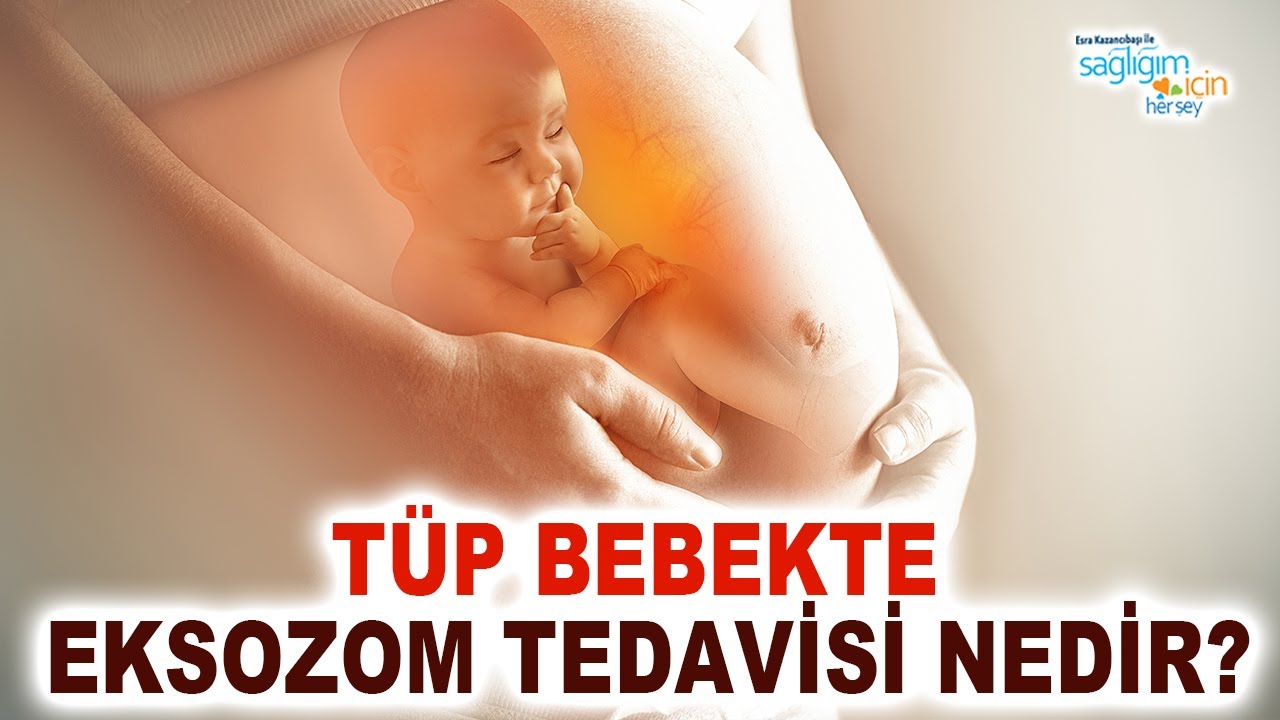 Tüp Bebekte Eksozom Tedavisi Nedir?