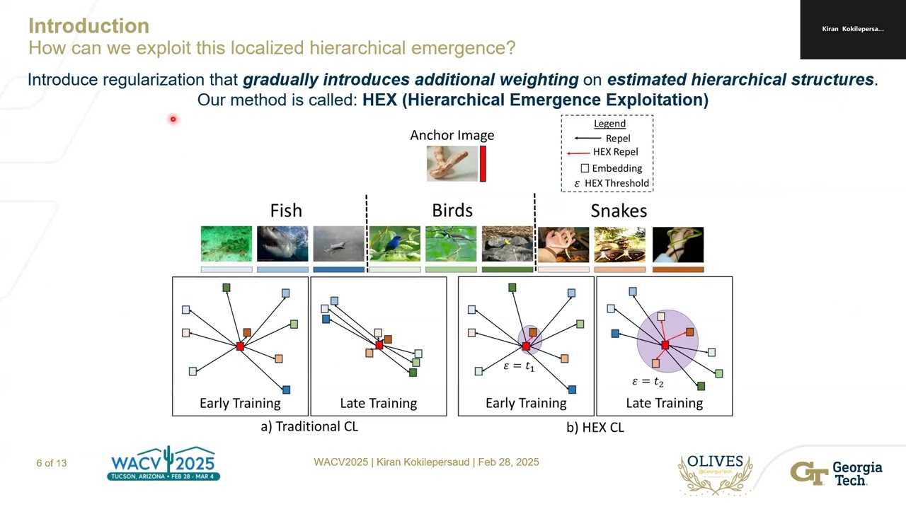[WACV 2025 ORAL] HEX: Hierarchical Emergence Exploitation in Self Supervised Algorithms