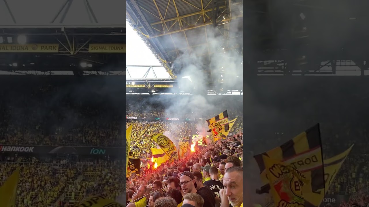 Jubel auf der S&uuml;d nach Tor von Guirassy gegen Union Berlin #bvb 🖤💛