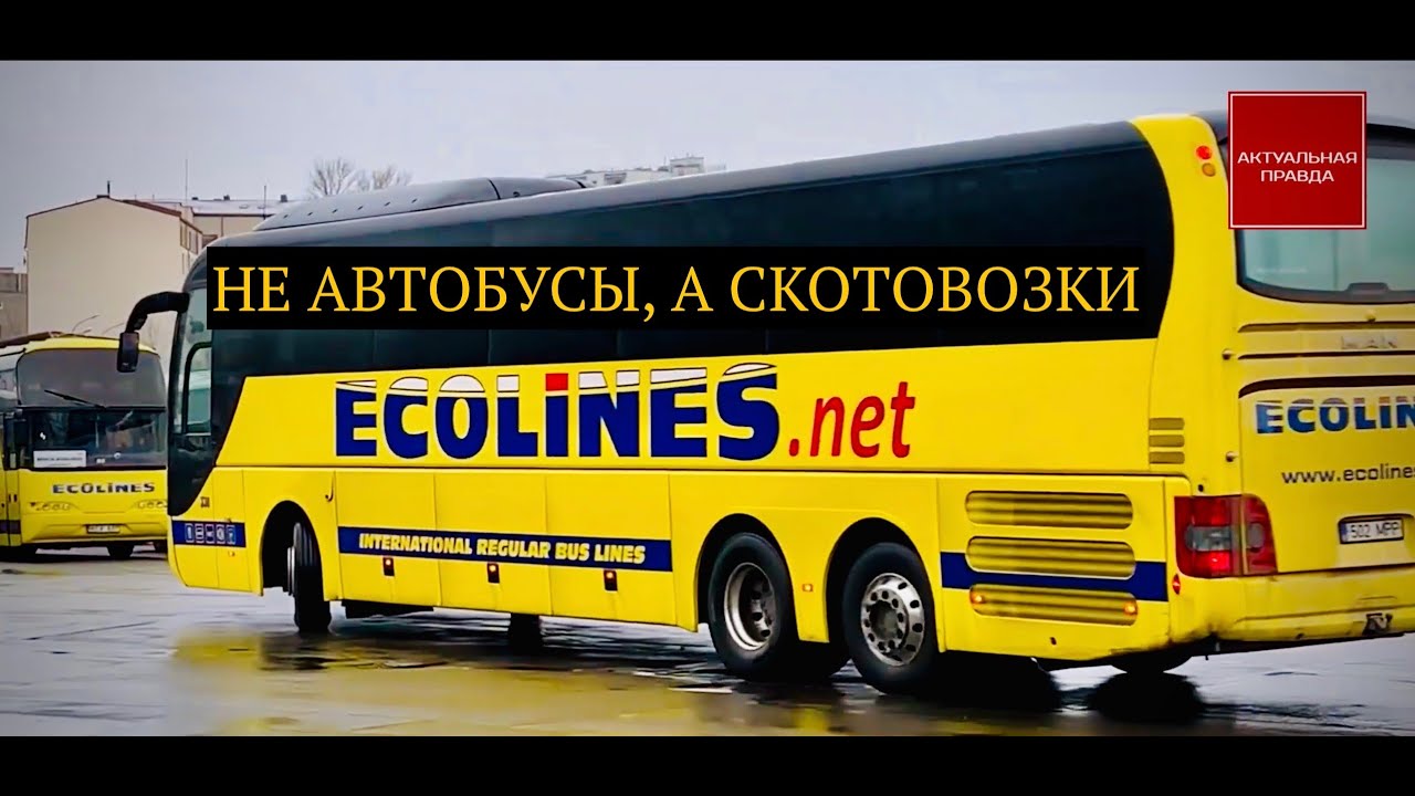 Компании Автолюкс-Эколайнс оскандалились из-за скотского отношения к украинцам