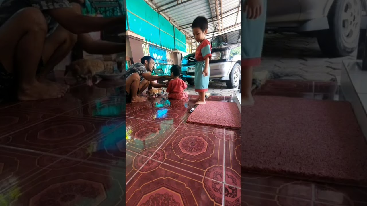 MasyaAllah Tabarakallah Anak Makan lahap Sabil Mainan Kucing Ga Kerasa Habis
