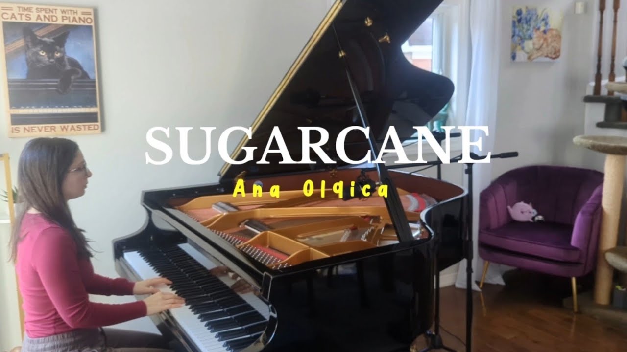 Sugarcane | Ana Olgica 