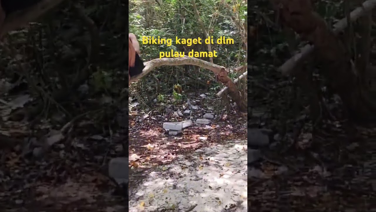 liat dalemnya pulau damar biking kaget gaesss