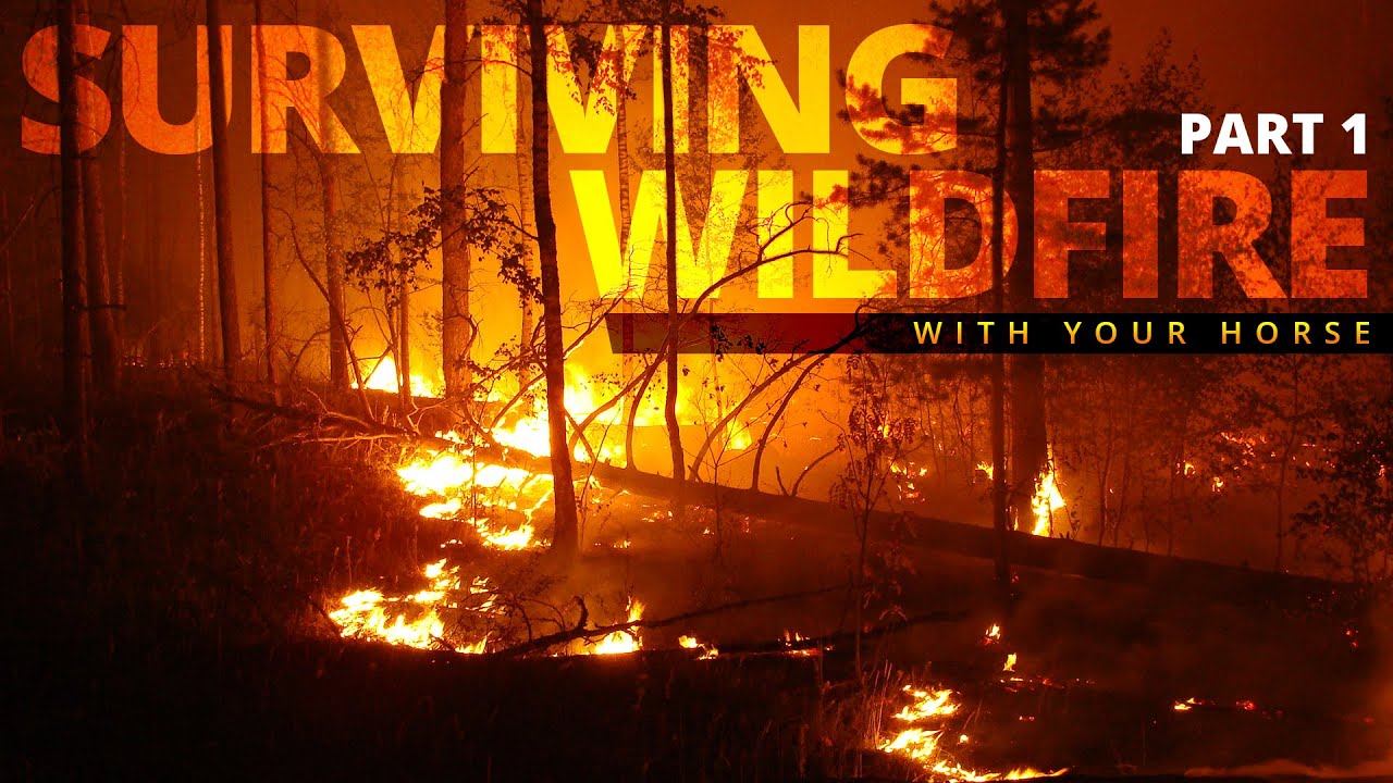 Surviving Wildfire with your horses - Part 1