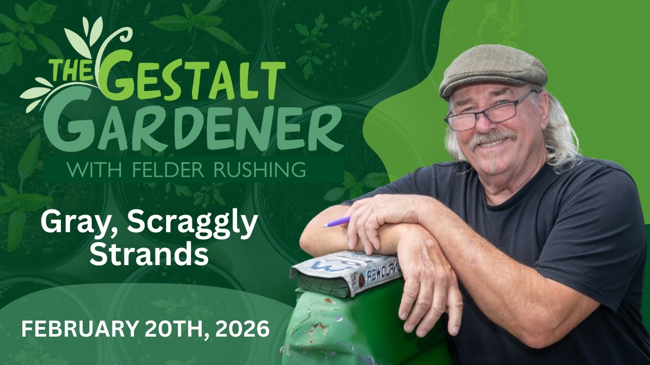 The Gestalt Gardener - February 120, 2026