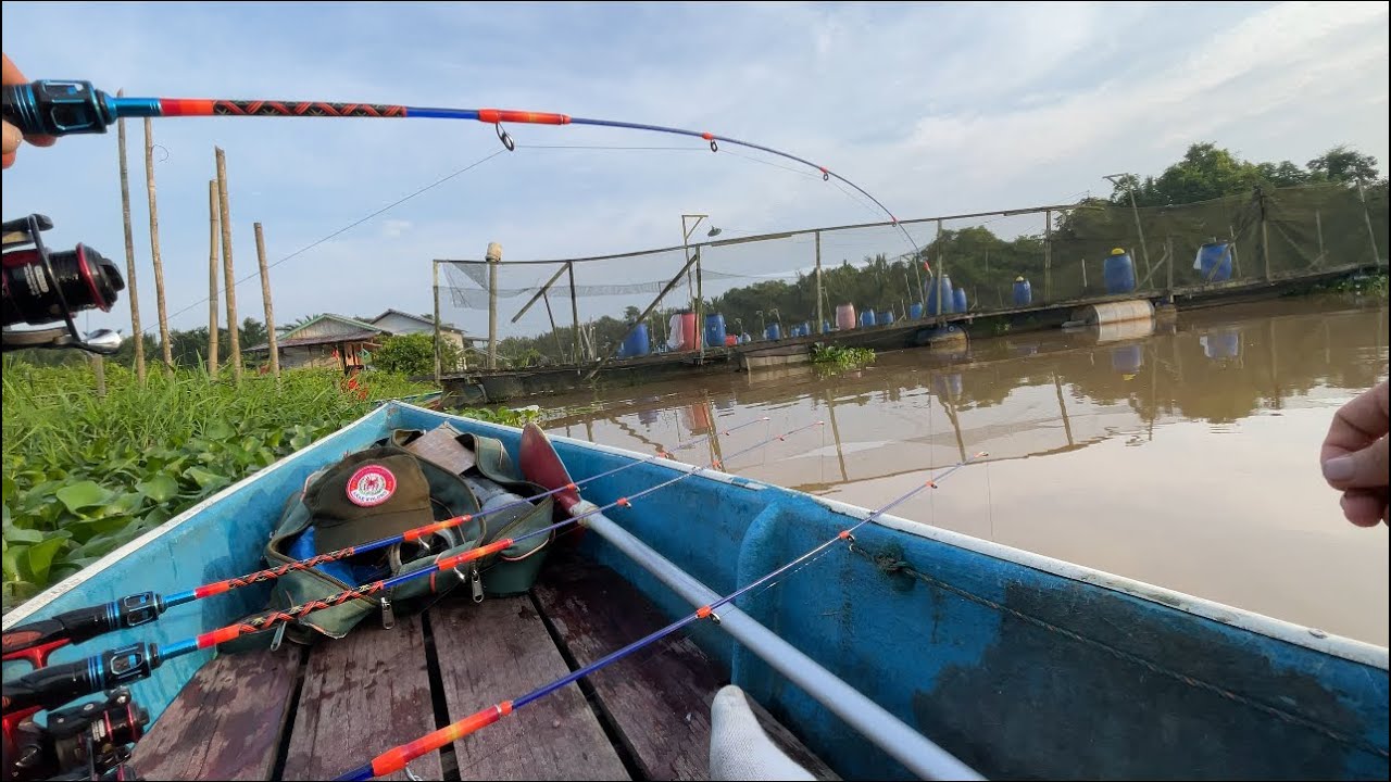 Asikkkk!!!! Mancing udang galah di tonton orang langsung mau di beli. Haha 