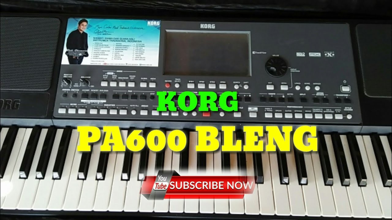 cara mengatasi korg pa 600 mati ngga mau nyala