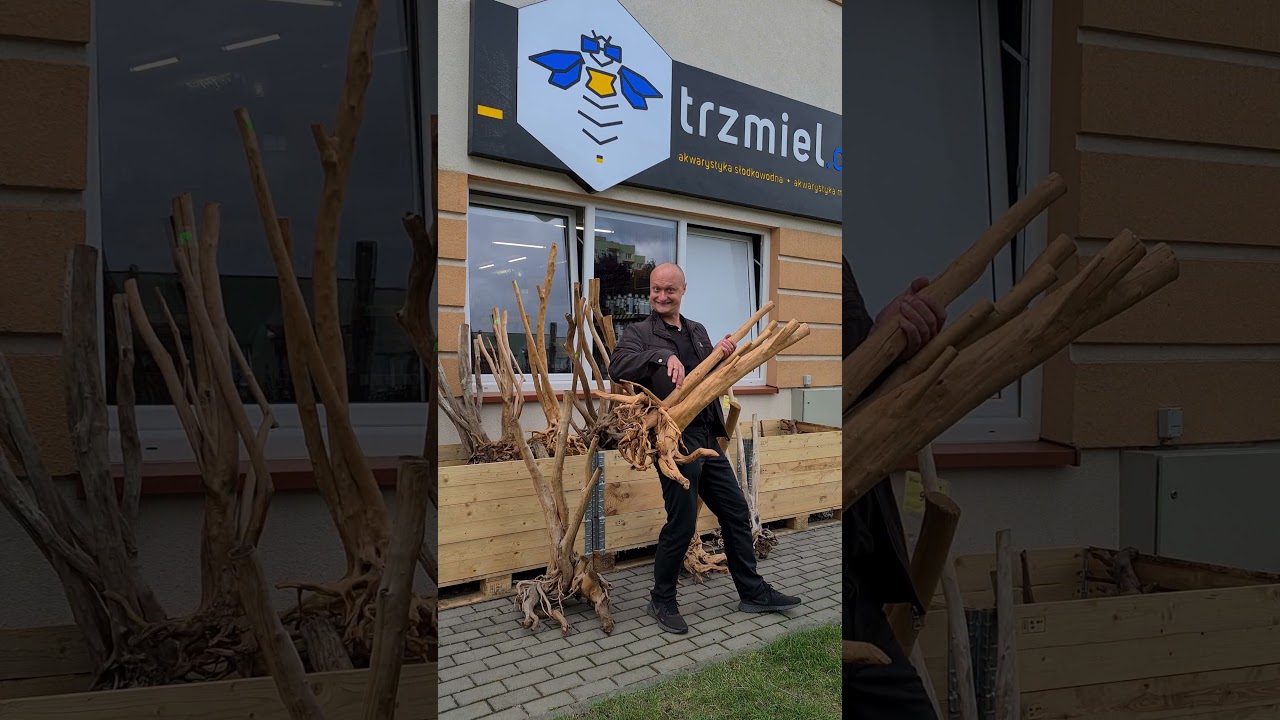 Grać każdy może jeden lepiej drugi gorzej