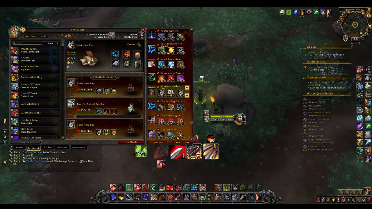 BFA World Quest Strange Looking Dogs, Burly, 2-Pet Leveling Strategy.
