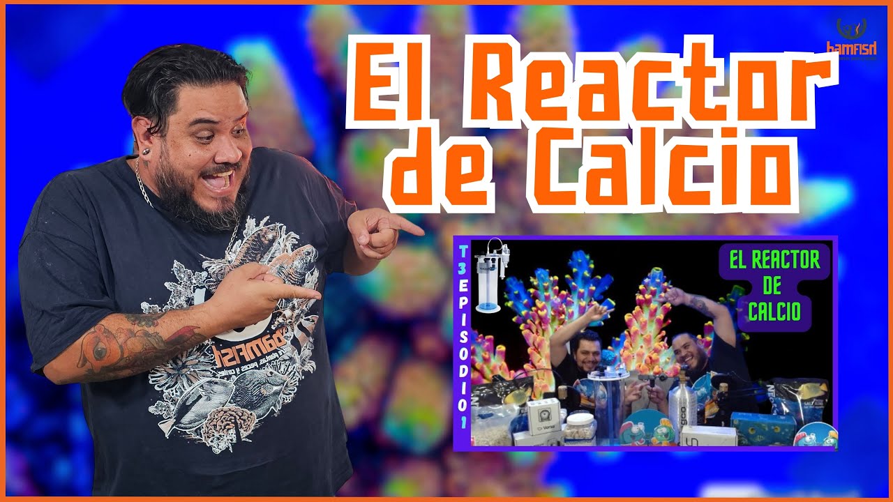 Como FUNCIONA el REACTOR DE CALCIO