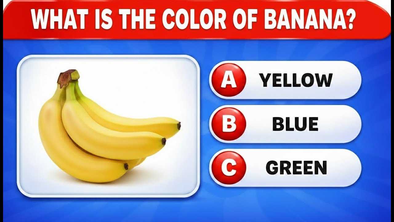 Can you answer the questions? Test Your General Knowledge in seconds! | Try Quiz
