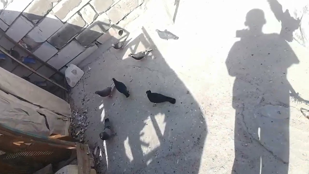 ٩ آذار، ٢٠٢٦