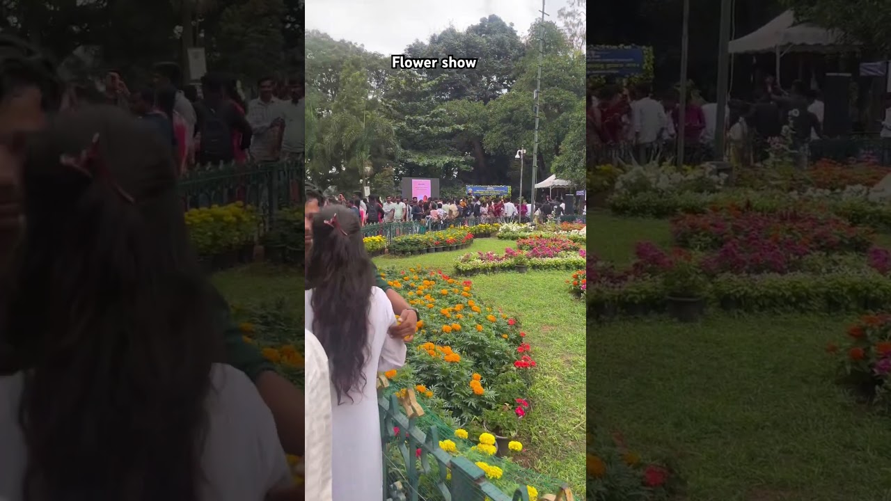 Flower show Lal Bagh 🌼 | 15 August  #independenceday #15august #india #bangalore