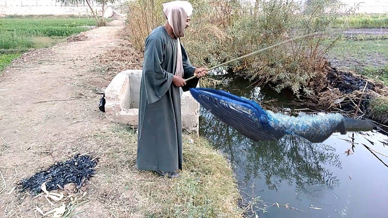 لن تصدق ماذا حدث للحاج صديق وهو بيصيد سمك علي الترعة 😱