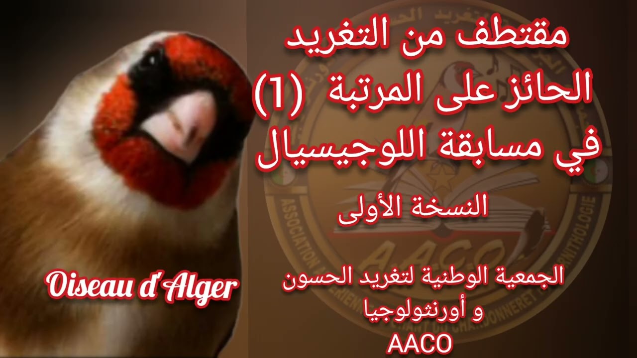 تغريد الحسون الحائز على المرتبة الاولى من مسابقة التغاريد المركبة صالح للتلقين 