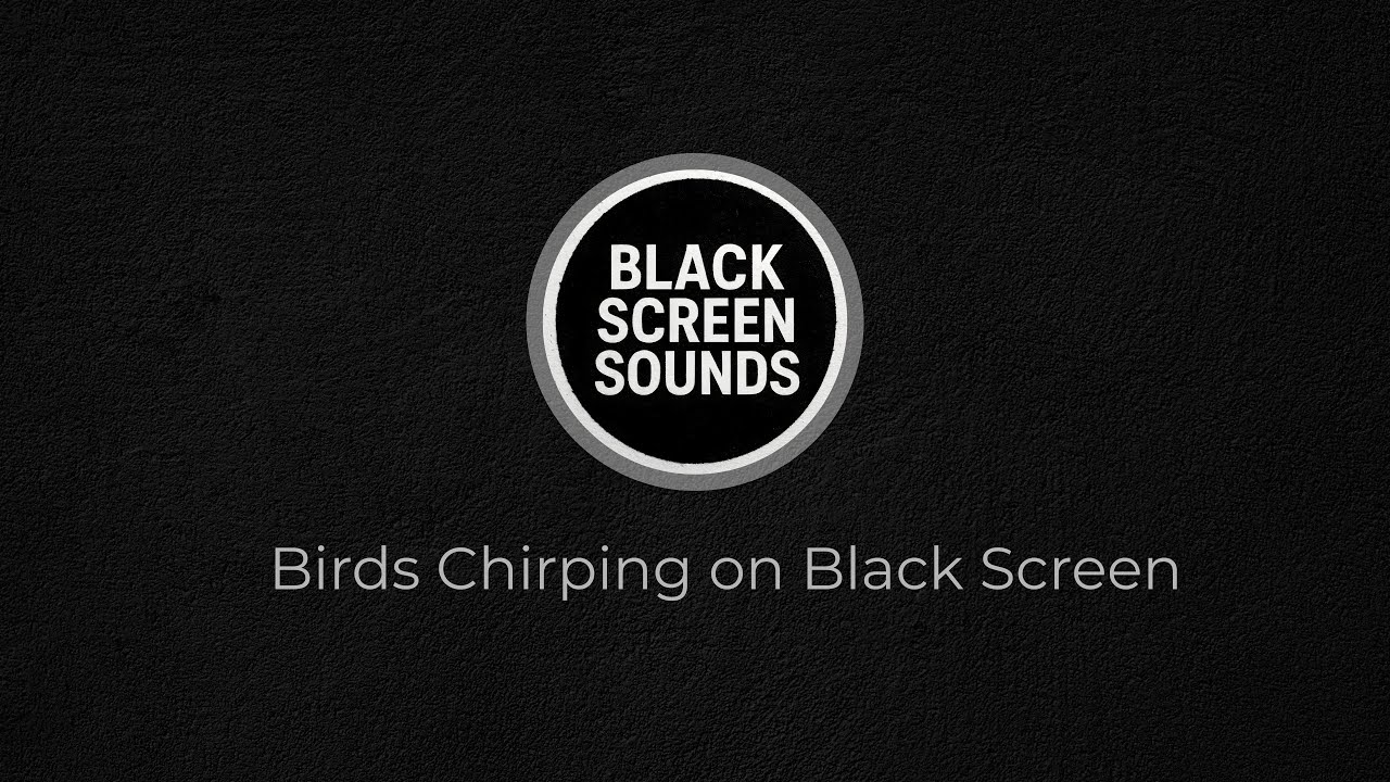 Birds Chirping on Black Screen | 3 Hours of Deep Sleep Nature Ambience