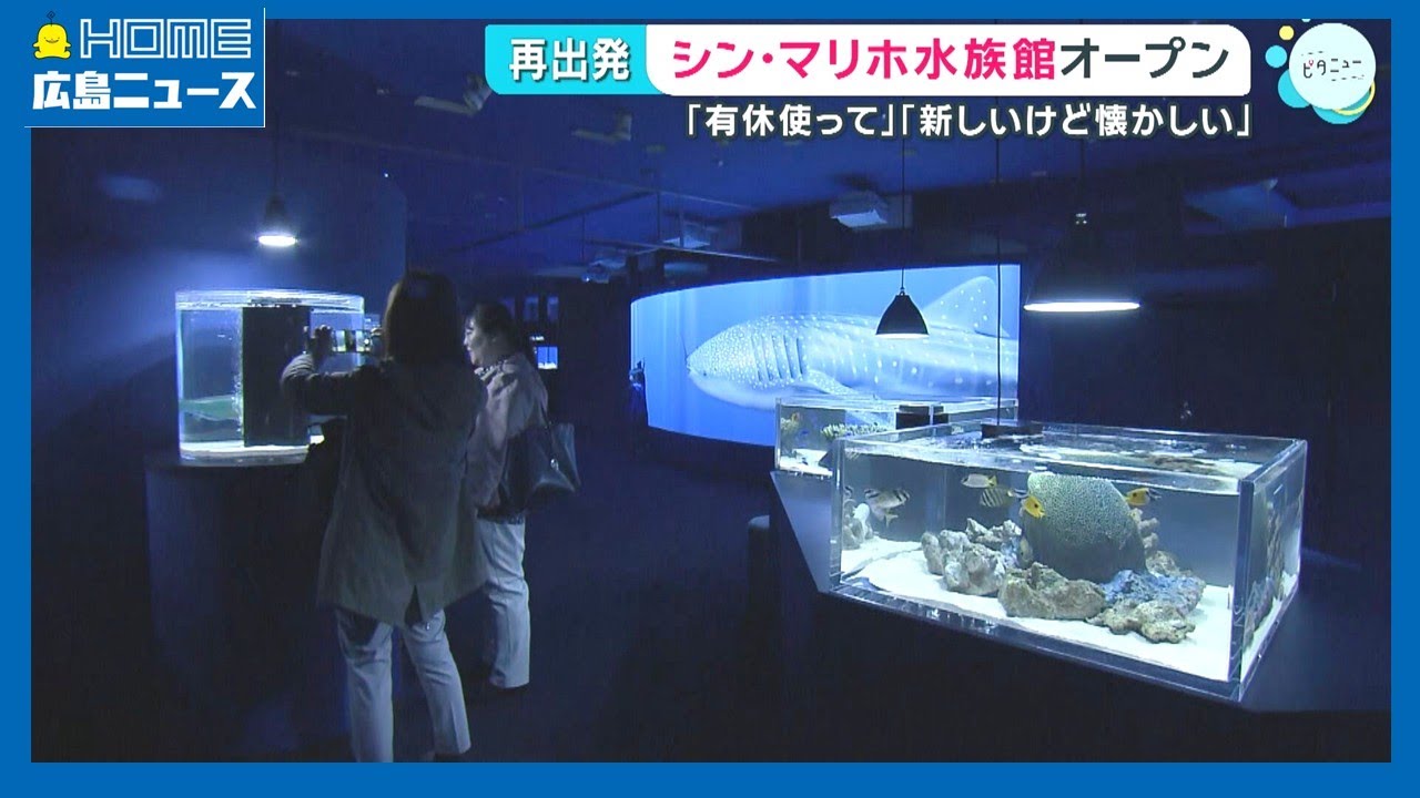 【再出発】シン・マリホ水族館オープン「新しいけど懐かしい」｜HOME広島ニュース