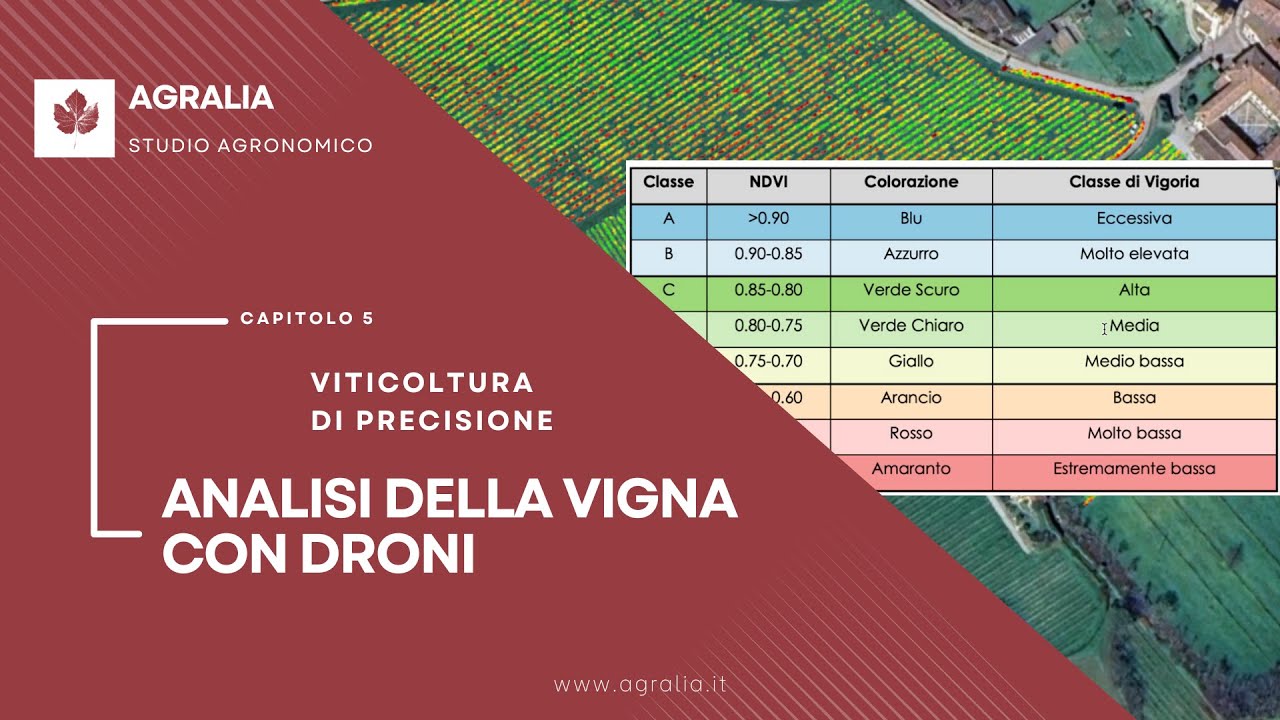 5  Analisi della Vigna con Droni Tecniche di Viticoltura di Precisione