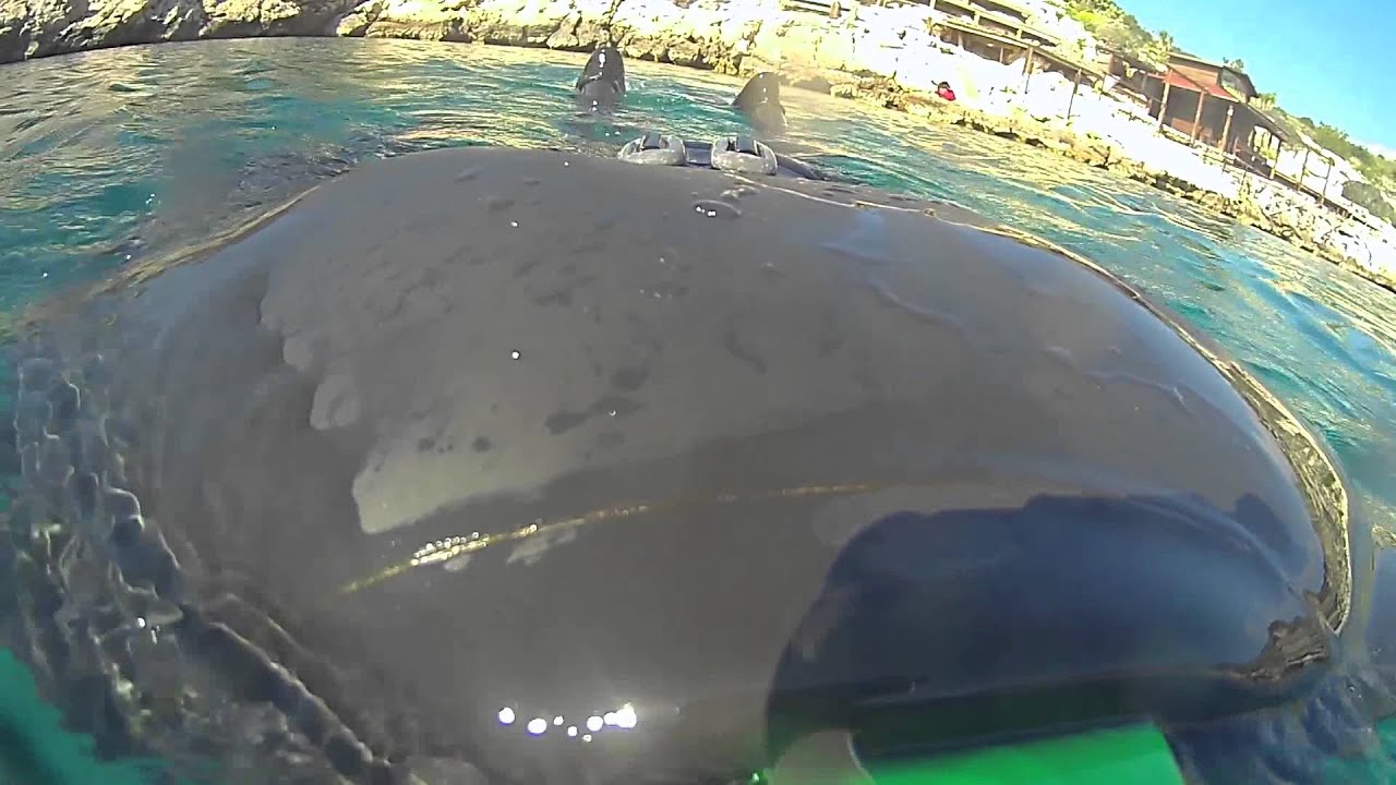 AEE S70: A Demonstration and Review