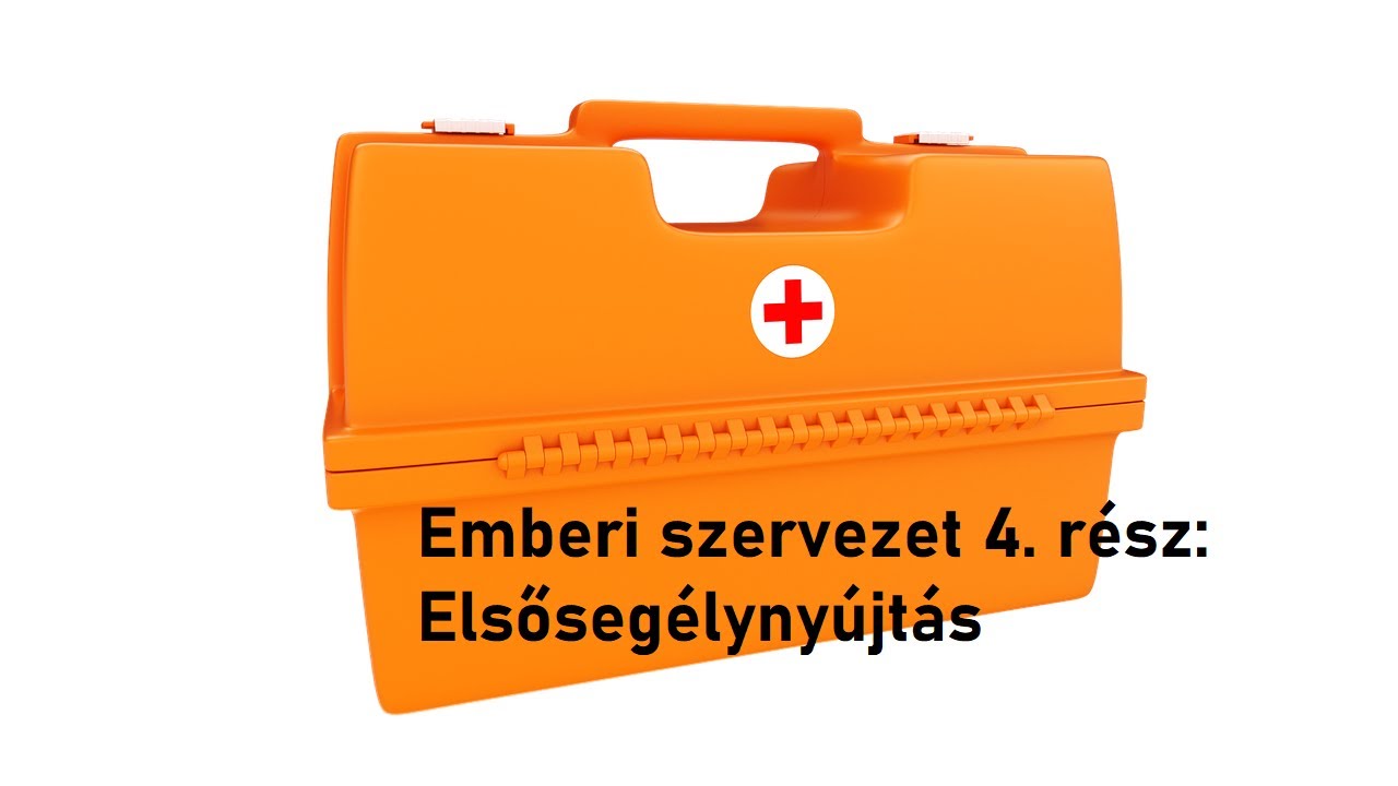 Emberi szervezet 4. rész: Elsősegélynyújtás