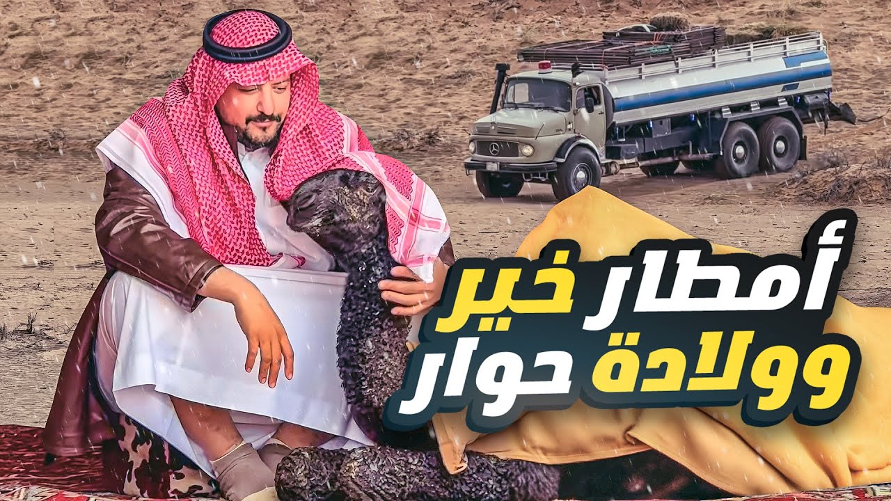 أمطار خير وولادة حوار في مكشاتنا في الشمال