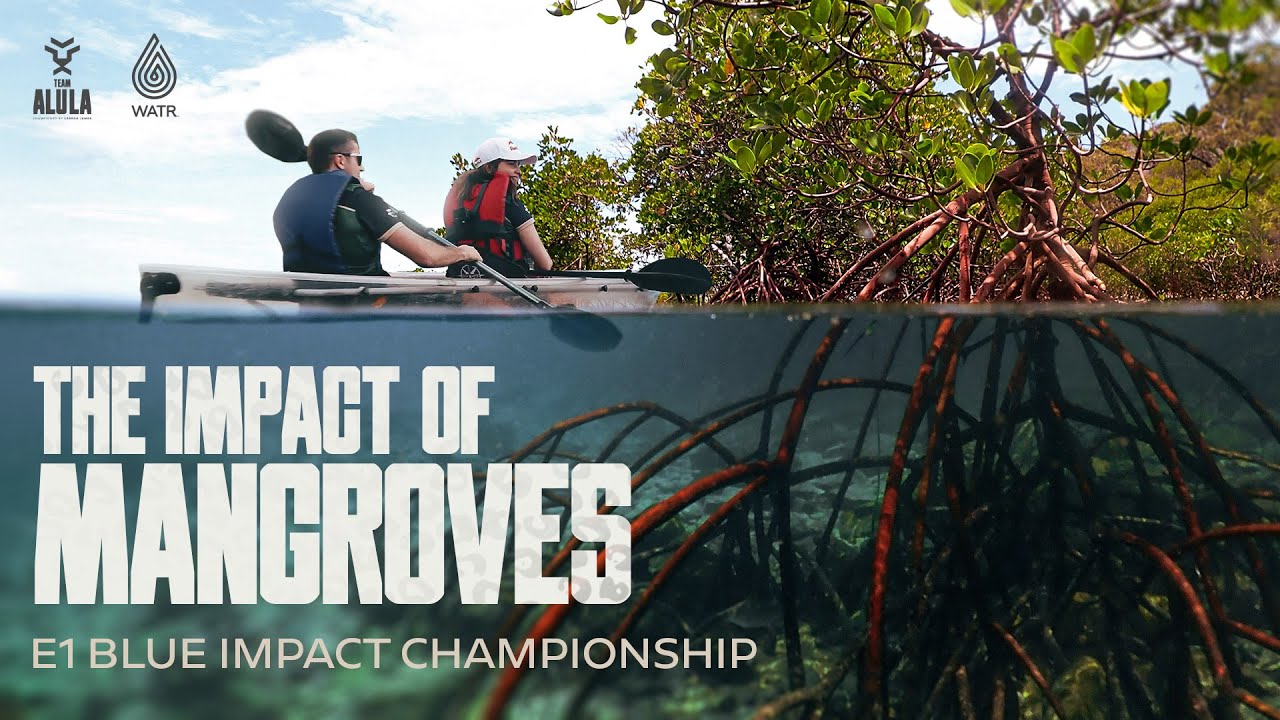 Visiting Miami’s Mangroves with WATR | E1 Blue Impact Championship