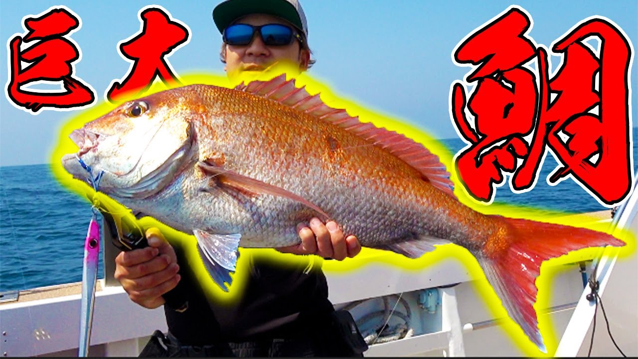 玄界灘の大海原で巨大魚を釣り上げた！！