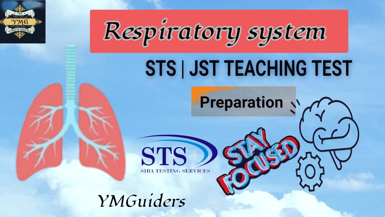 📘&nbsp;Respiratory System | 25 MCQs | JST Test Preparation