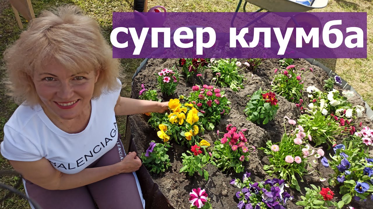 Самая красивая  клумба. Самый красивый цветник на даче.