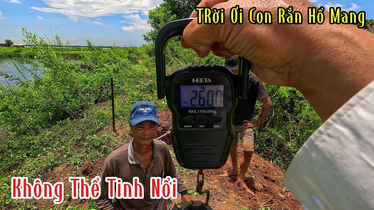 Giúp Ông Chủ Trại Cá Tra Hàng Chục Tỷ Chinh Phục Con Hổ Mang Hàng Khủng Chưa Từng Gặp |MTSB