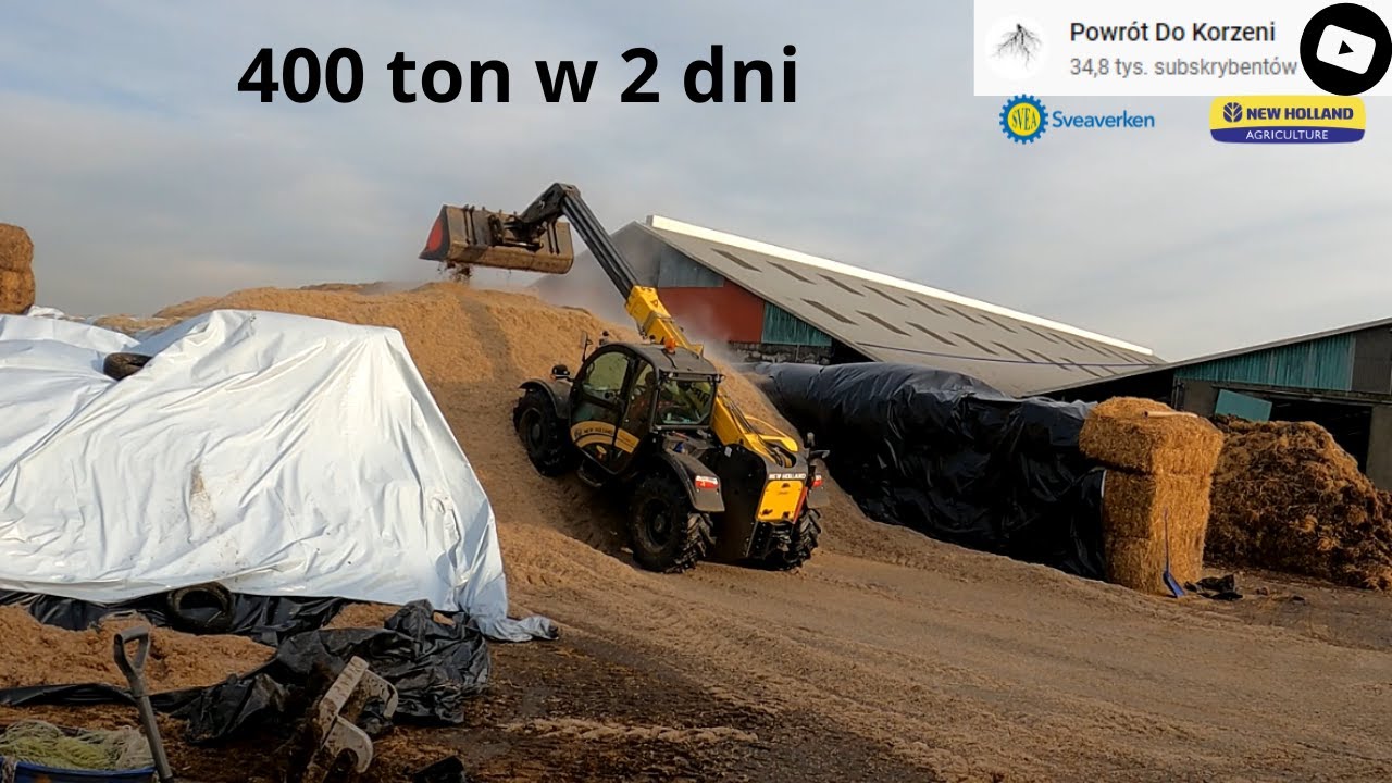 NASZA DNIÓWKA / Po świąteczne wysłodki