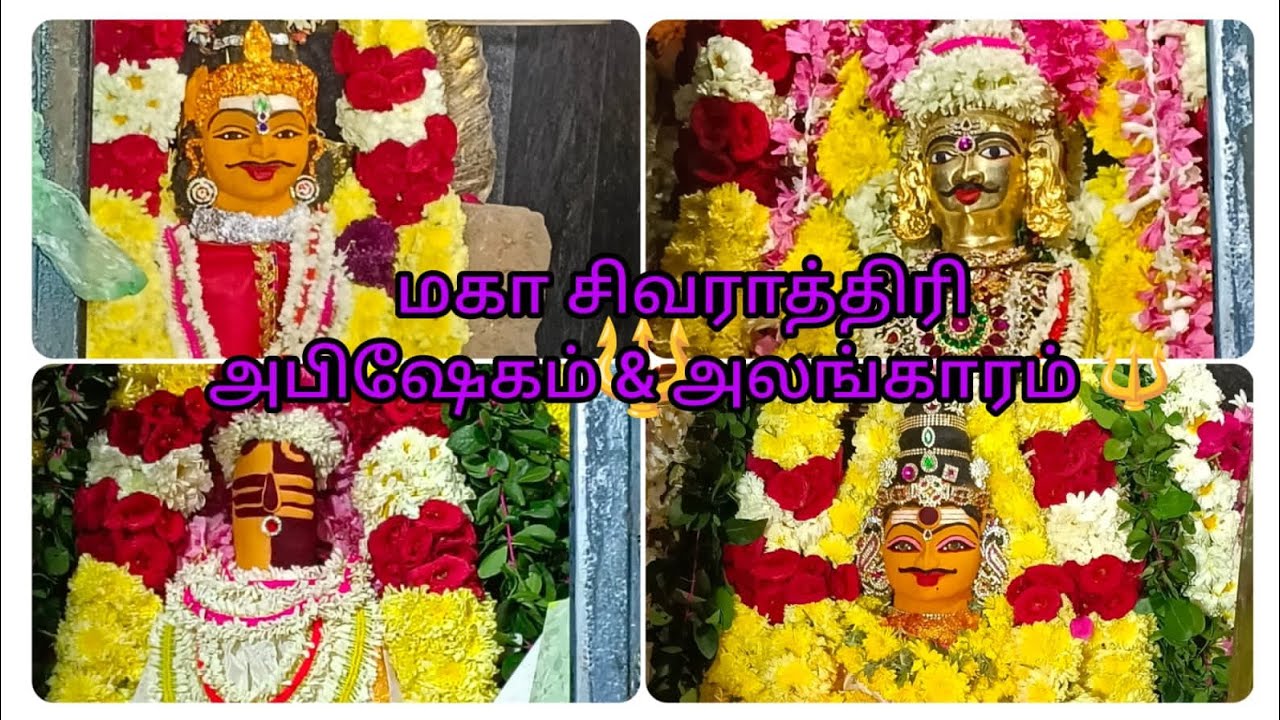 மகா சிவராத்திரியில் அபிஷேகம் & அலங்காரம் ,தரிசனம் | Shivaratri Vlog 2026 | subhanambivlogs