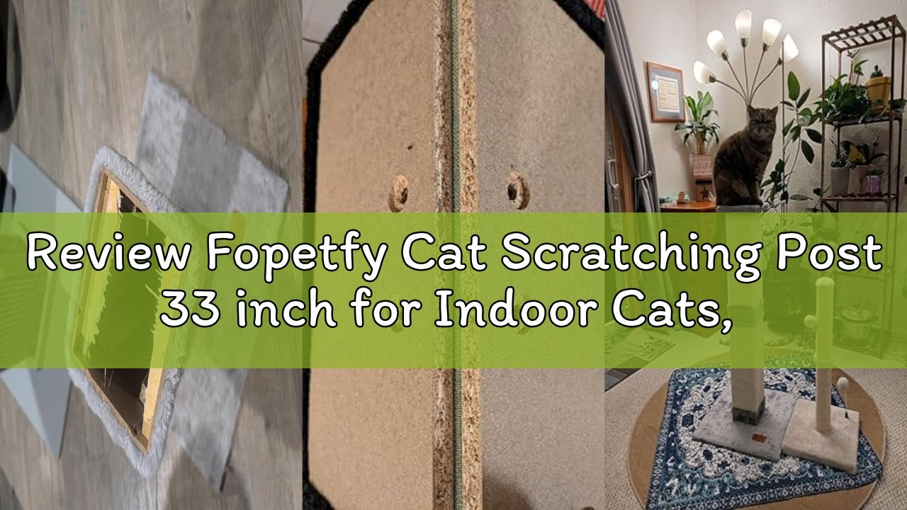 Review Fopetfy Cat Scratching Post 33 inch for Indoor Cats, High Cat Scratch Post Grey, Cat Tree for