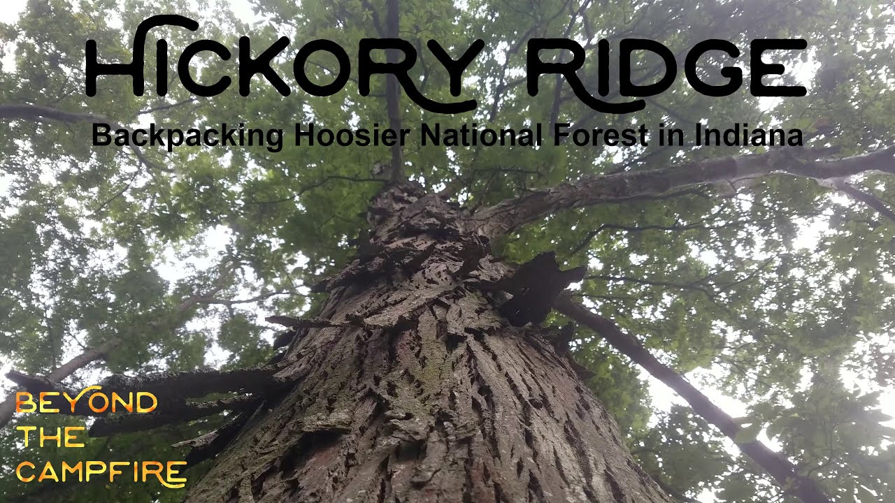 Hickory Ridge - Summer Backpacking in Hoosier National Forest, IN