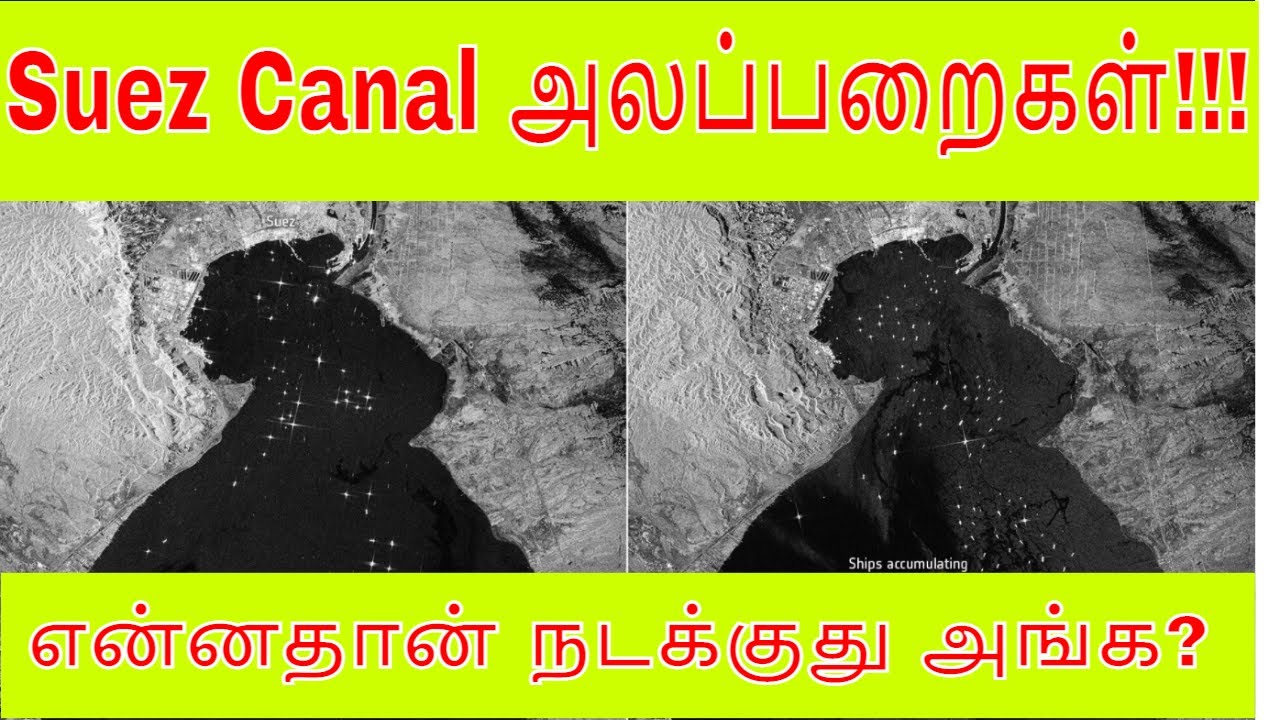 Ship stuck in Suez Canal - Tamil Update - Actual Fact
