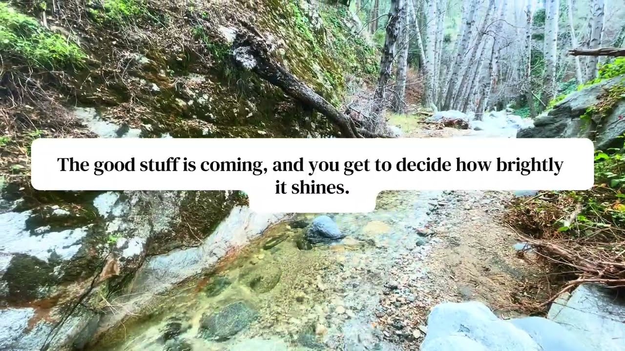 Your Best Day Begins Here: Morning by the Forest Creek